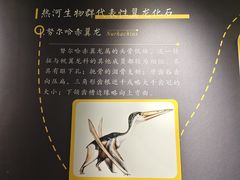 -辽宁古生物博物馆