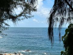 -广东惠东海龟国家级自然保护区