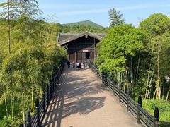 -大唐贡茶院