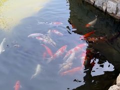 -春风习习