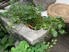 -斯多格书乡(北京大学畅春园店)