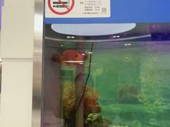 -雅悦齿科(顾村公园店)