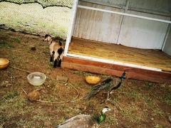 -潭柘厚院&山顶烤肉(潭柘寺店)