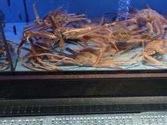 -阿伟海鲜楼·福建菜(延寿店)
