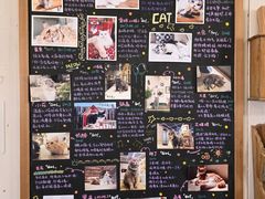 -小时光咖啡馆(开森度假森林店)