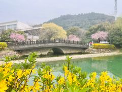 -树山生态村