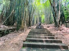 -凤栖山