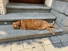 -星巴克臻选(思南公馆店)