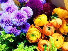 -双季花艺园艺市场(浦东店)