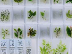 -广东中医药博物馆