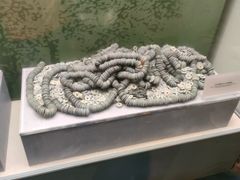 -深圳博物馆历史民俗馆