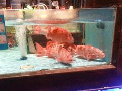 -阿伟海鲜楼·福建菜(延寿店)