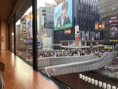 -蟹道乐(道顿堀本店)