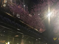 -章丘宴(唐人中心店)