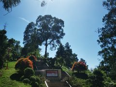 -白云山风景名胜区