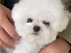 -美联众合动物医院·24h京西诊疗中心