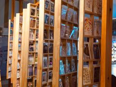 -猫的天空之城概念书店(印象城购物中心店)