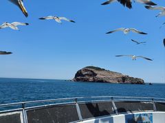-海驴岛(荣成市)
