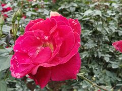 -人民公园(罗湖区)