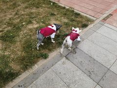 -小意思咖啡店(草桥店)