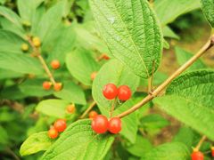 -长春公园(普阳街道)