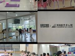 -刘诗昆艺术学校(一品天下校区)