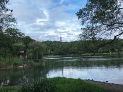 -紫霞湖公园