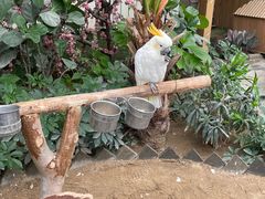 -南宫五洲植物乐园