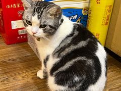 -王老六铁锅炖鱼(长春路店)