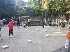 景点-燕塞湖鸟语林景区