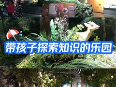 -阿哈湖国家湿地公园