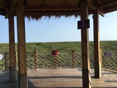 -北海金海湾红树林生态旅游区