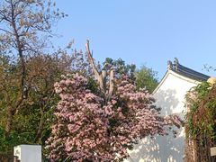 -绮园景区
