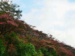 android_upload_pic-广州市石门国家森林公园