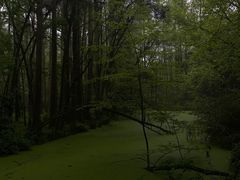 -虎跑公园