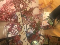 -炉胜·炉端烧·居酒屋