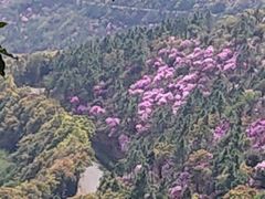 -雨花胜境