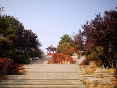 -大兴滨河森林公园