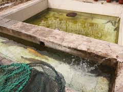 -钰田大院·碳烤虹鳟鱼·怀柔地道农家菜(雁栖湖店)