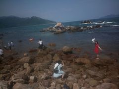 -西涌国际滨海旅游区