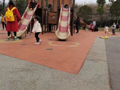 -枫香湖儿童公园