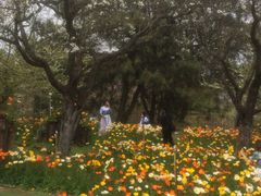 -名花谷生态庄园