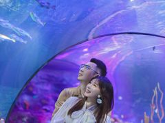 -沈阳海洋探索中心