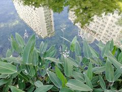 -兰溪青年公园