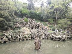 -伯先公园