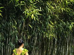 -柳莺湖上·湖景餐厅·江南菜(西湖店)