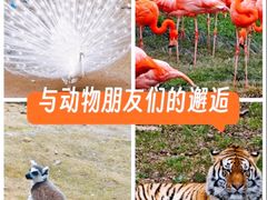-哈尔滨北方森林动物园