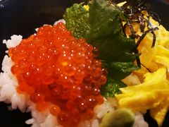 -酒井酱子·深夜食堂(东城汇店)