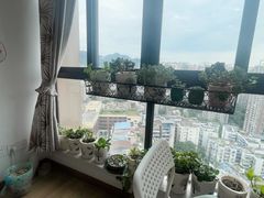 -叶老师古筝工作室(杨公桥店)