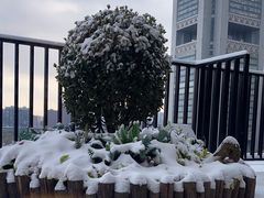 -一品淮扬 · 淮扬菜·北京万达文华酒店